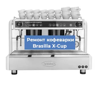 Замена | Ремонт термоблока на кофемашине Brasilia X-Cup в Воронеже
